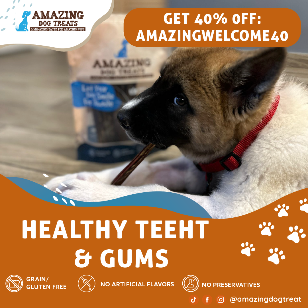 Amazing Dog Treats Unleash the Power of Healthy and Clean Teeth