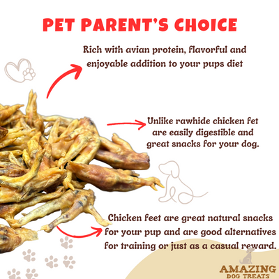 Amazing Dog Treats - Grade A Chicken Feet Dog Treats Amazing Dog Treats