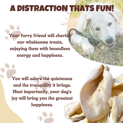 Premium Thick-Cut Cow Ears Amazing Dog Treats