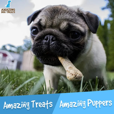 Amazing Dog Treats - 6" Beef Cheek Braids Amazing Dog Treats