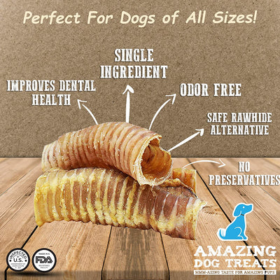 6" Beef Trachea Chews Amazing Dog Treats