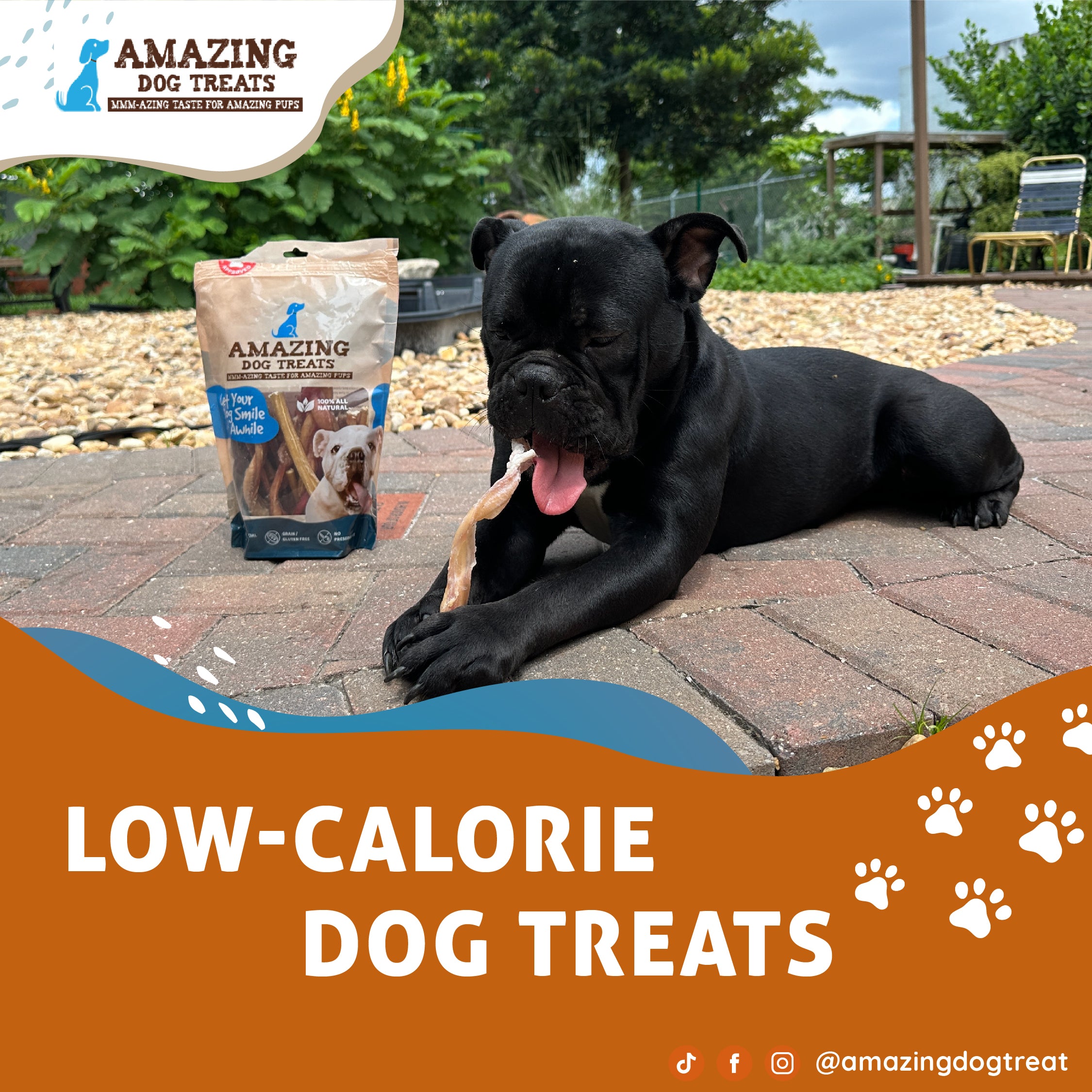 Calming Canine Companions: Amazing Dog Treats for Stress Relief