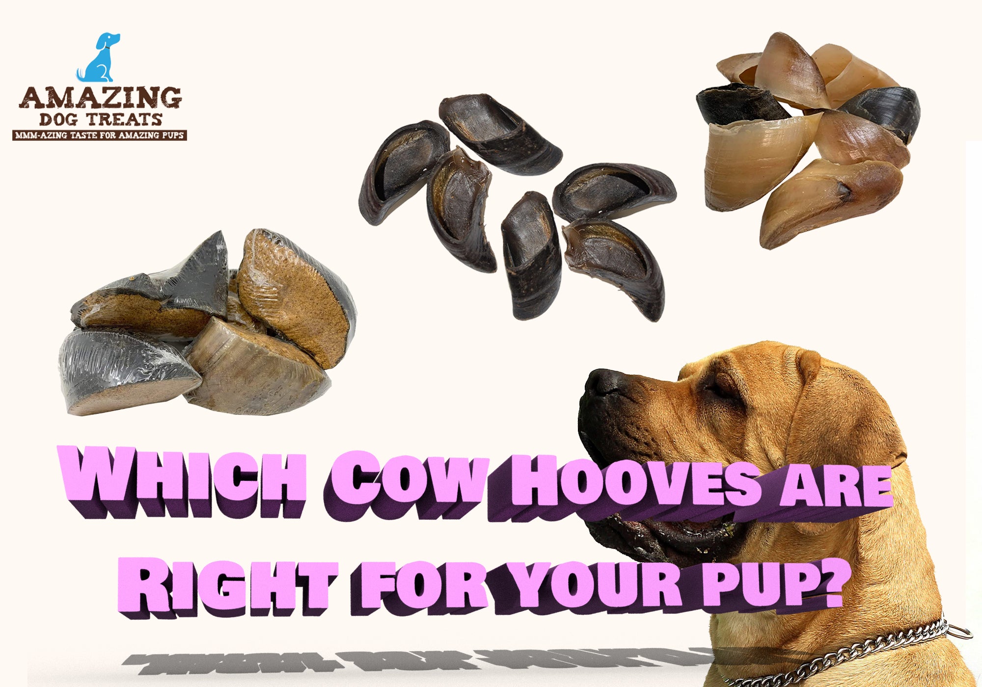 <h1 hidden> Best Cow Hooves for Your Dog<h1>