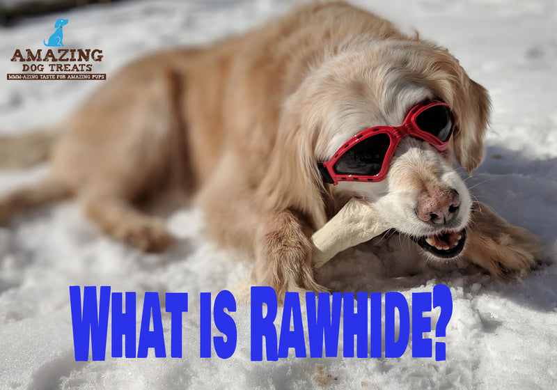 What is Rawhide? Amazing Dog Treats