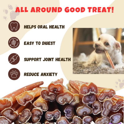 Bully Sticks 6 Inch Regular Size (100 Pcs/Pack) Amazing Dog Treats