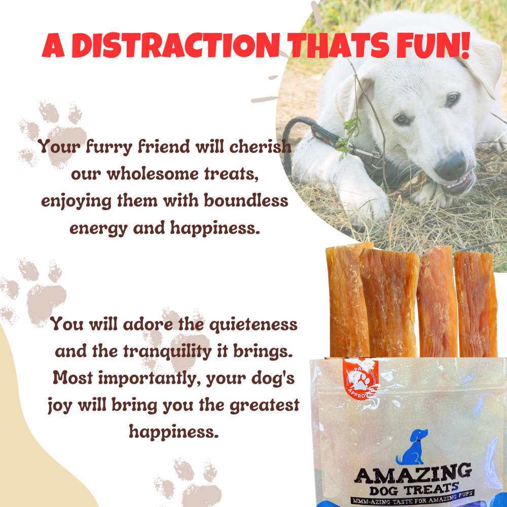 Amazing Dog Treats - 6" Backstrap Tendon Chews Amazing Dog Treats