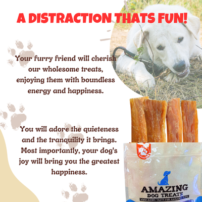 Amazing Dog Treats - 6" Backstrap Tendon Chews Amazing Dog Treats