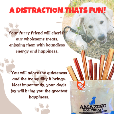 Bully Sticks 6 Inch Regular Size (100 Pcs/Pack) Amazing Dog Treats