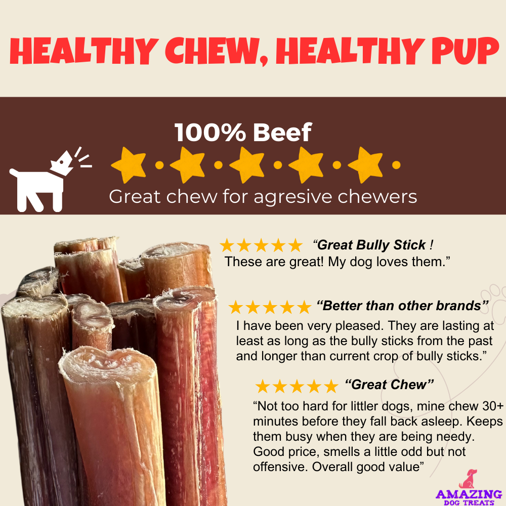 Bully Sticks 6 Inch Regular Size (50 Pcs/Pack) - Premium Bully Stick Dog Chews - Amazing Dog Treats
