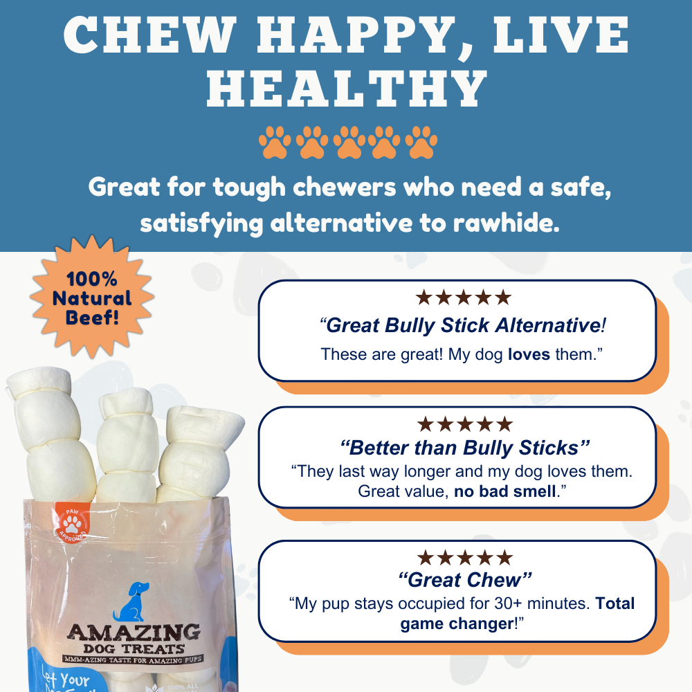 10" Mega Thick Beef Cheek Rolls - Safe Rawhide Alternative Dog Chew Amazing Dog Treats