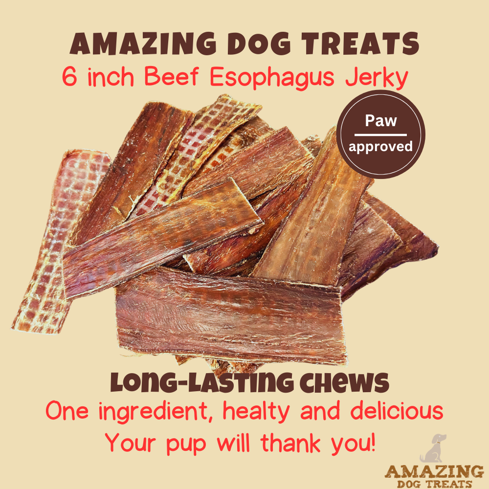 Beef Esophagus Jerky for Dogs (6 Inch ) - Beef Gullet Dog Chews - Beef Esophagus Dog Treats Amazing Dog Treats