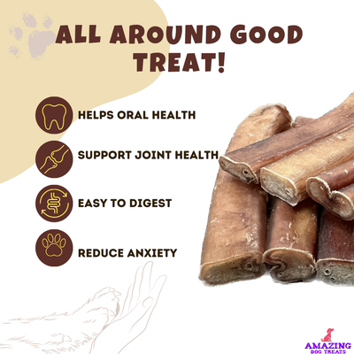 6" Thick Bully Sticks Amazing Dog Treats