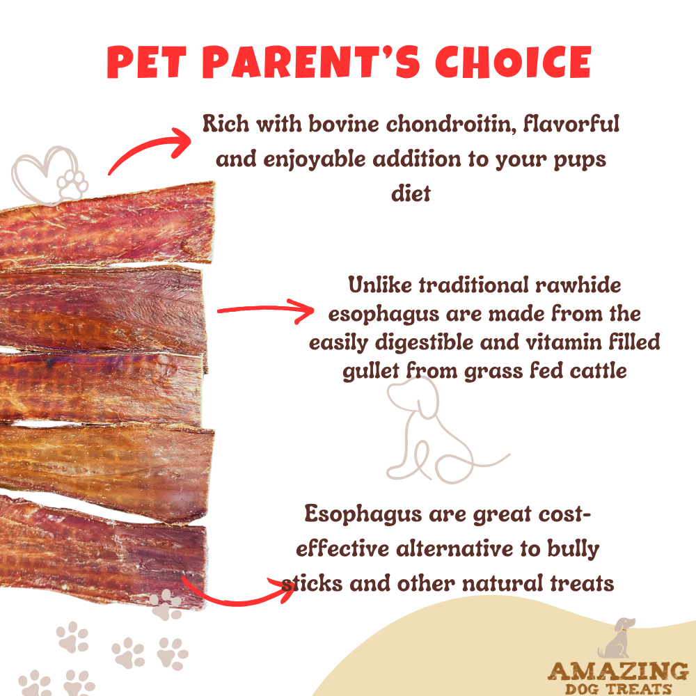 Beef Esophagus Jerky for Dogs (6 Inch ) - Beef Gullet Dog Chews - Beef Esophagus Dog Treats Amazing Dog Treats