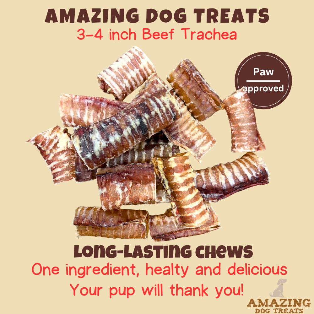 Amazing Dog Treats - 3-4" Beef Trachea Chews Amazing Dog Treats