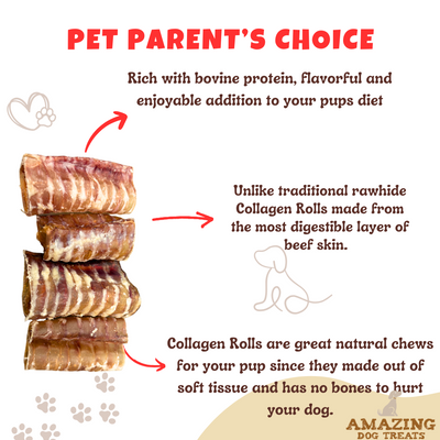 Amazing Dog Treats - 3-4" Beef Trachea Chews Amazing Dog Treats