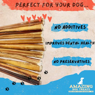 12" Thick Bully Sticks Amazing Dog Treats