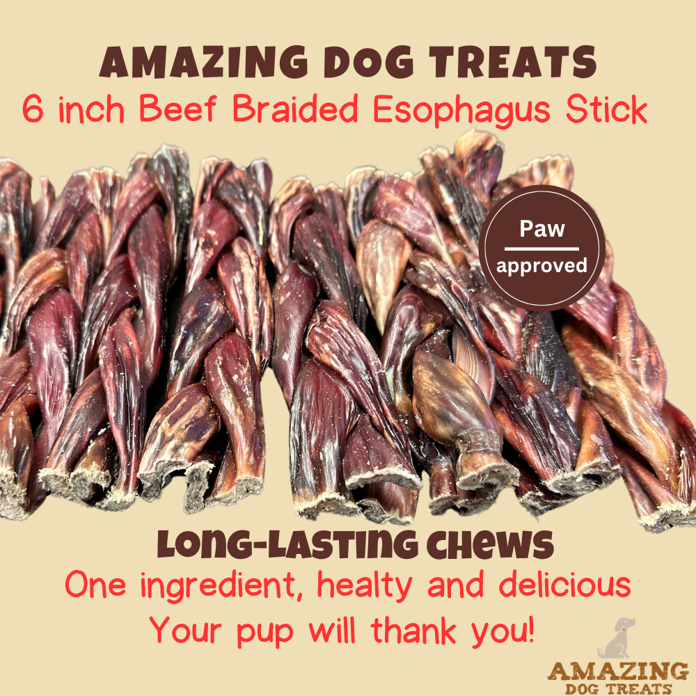 6 Inch Braided Gullet Stick - Dog Jerky Treats - Beef Esophagus - Gullet Sticks For Dogs - Braided Gullet Sticks Dog Chews - Beef Esophagus Dog Treats Amazing Dog Treats