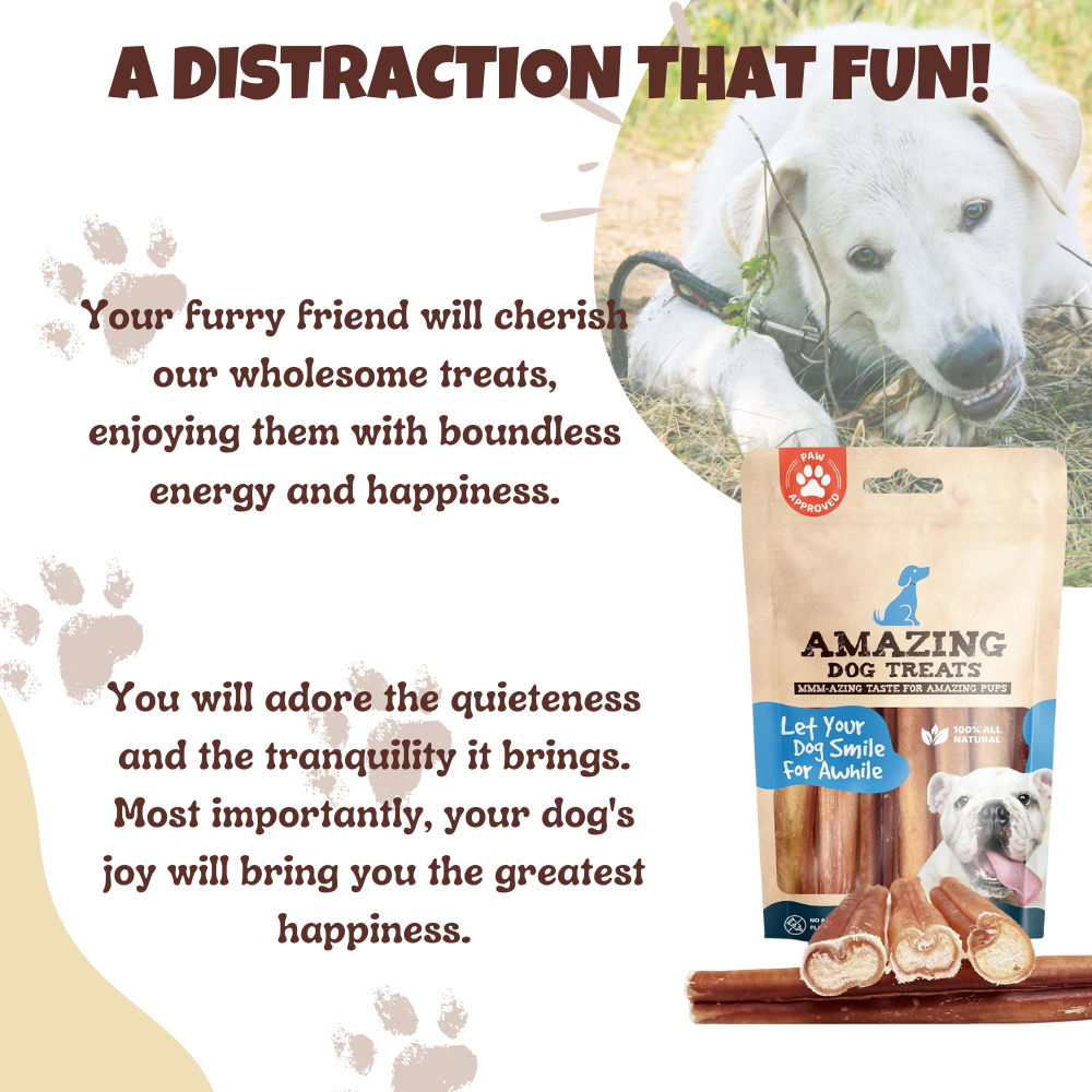 6" Thick Bully Sticks Amazing Dog Treats