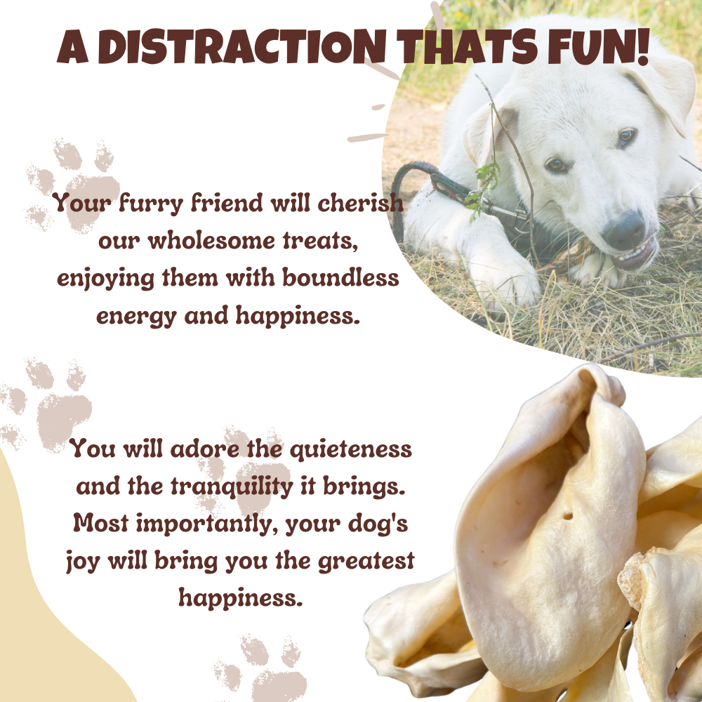 Premium Thick-Cut Cow Ears Amazing Dog Treats