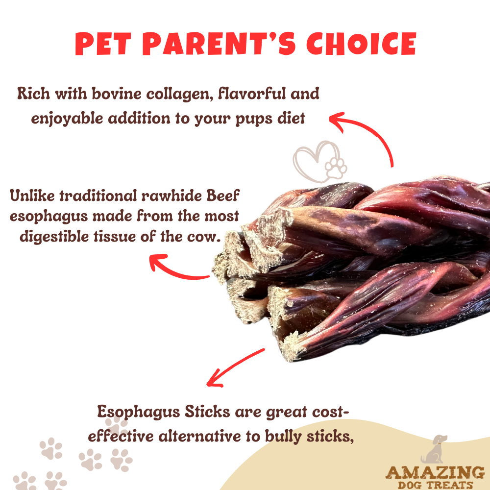 6 Inch Braided Gullet Stick - Dog Jerky Treats - Beef Esophagus - Gullet Sticks For Dogs - Braided Gullet Sticks Dog Chews - Beef Esophagus Dog Treats Amazing Dog Treats