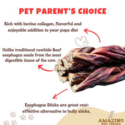 6 Inch Braided Gullet Stick - Dog Jerky Treats - Beef Esophagus - Gullet Sticks For Dogs - Braided Gullet Sticks Dog Chews - Beef Esophagus Dog Treats Amazing Dog Treats