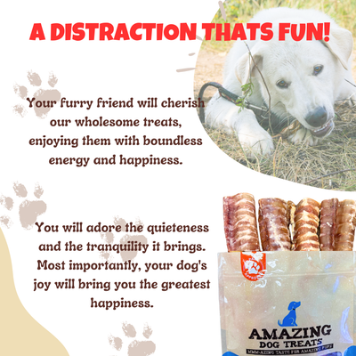 Amazing Dog Treats - 3-4" Beef Trachea Chews Amazing Dog Treats