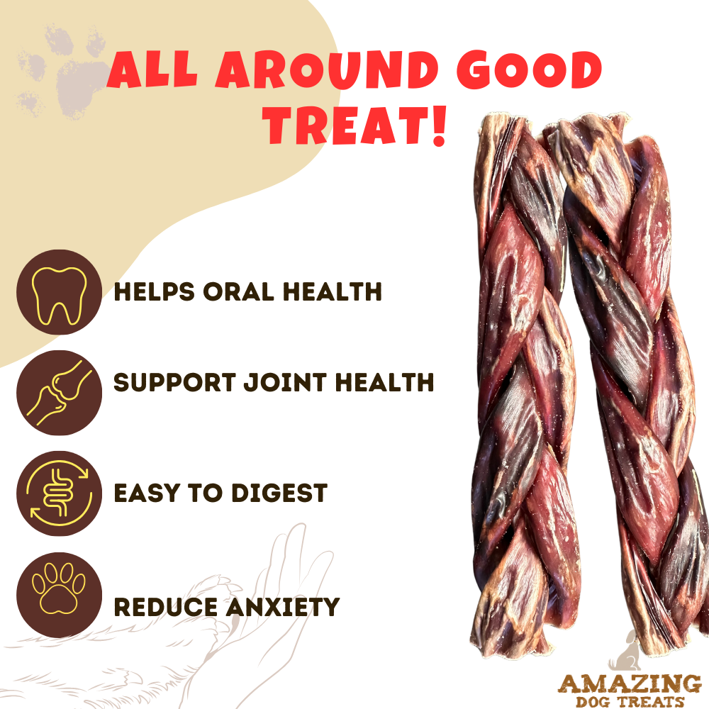 6 Inch Braided Gullet Stick - Dog Jerky Treats - Beef Esophagus - Gullet Sticks For Dogs - Braided Gullet Sticks Dog Chews - Beef Esophagus Dog Treats Amazing Dog Treats