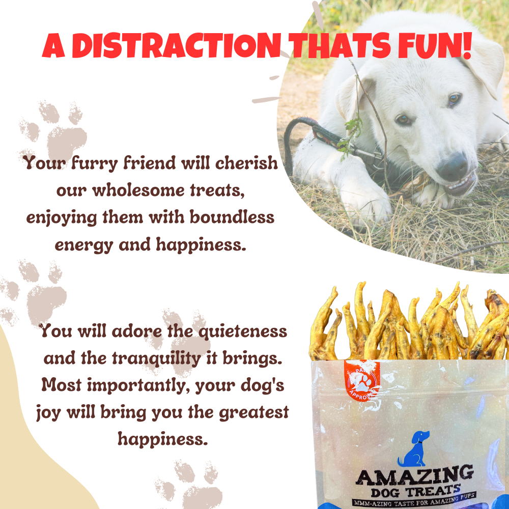 Amazing Dog Treats - Grade A Chicken Feet Dog Treats Amazing Dog Treats