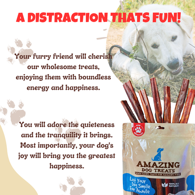 6'' Beef Gullet Sticks Amazing Dog Treats