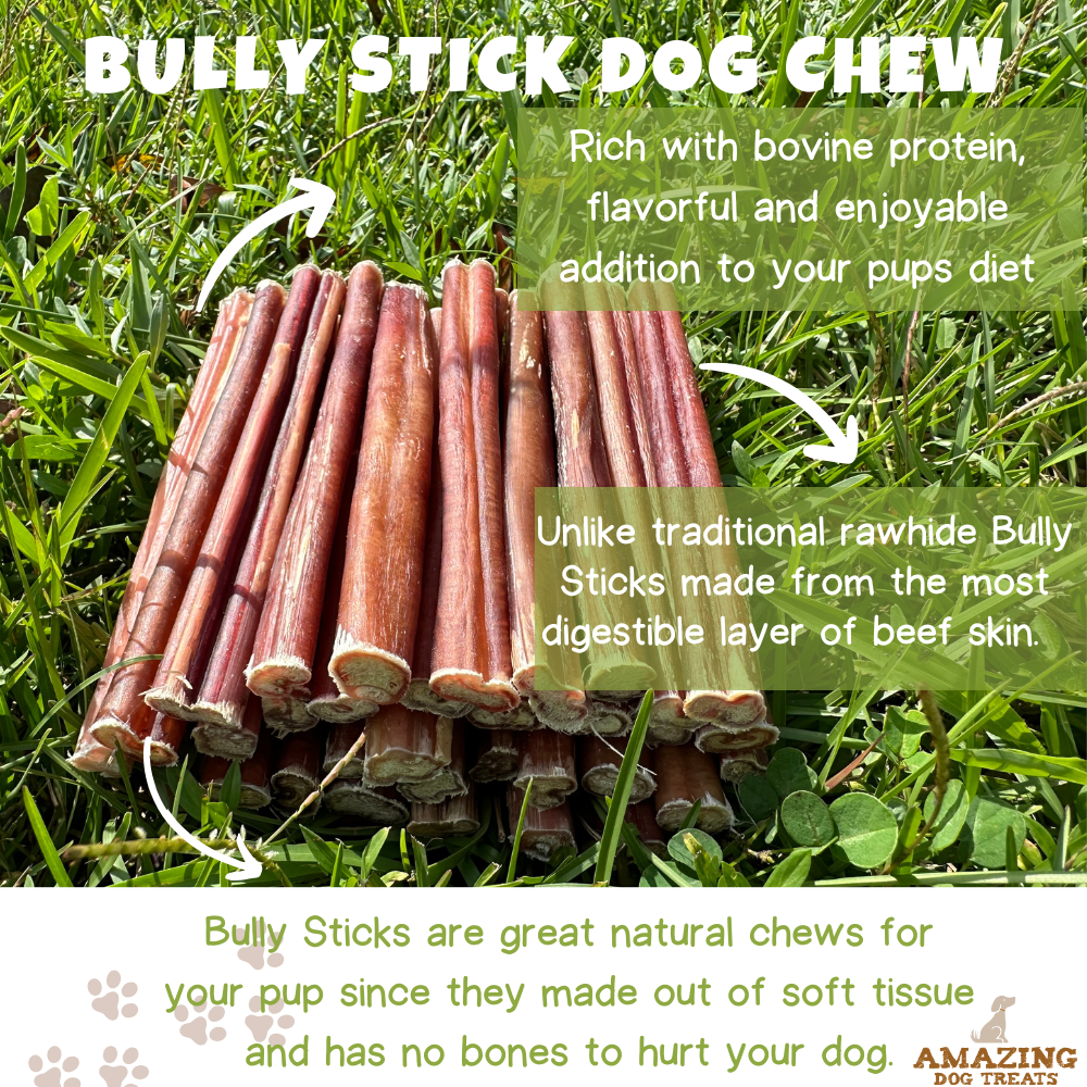 Bully Sticks 6 Inch Regular Size (100 Pcs/Pack) Amazing Dog Treats