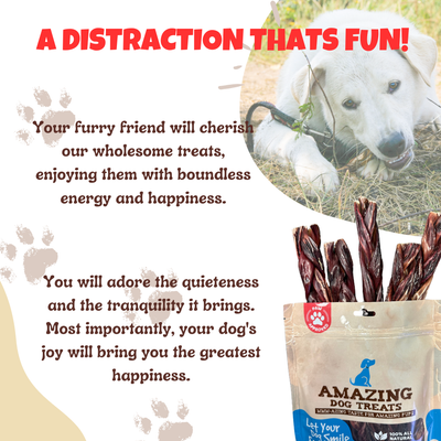 6 Inch Braided Gullet Stick - Dog Jerky Treats - Beef Esophagus - Gullet Sticks For Dogs - Braided Gullet Sticks Dog Chews - Beef Esophagus Dog Treats Amazing Dog Treats