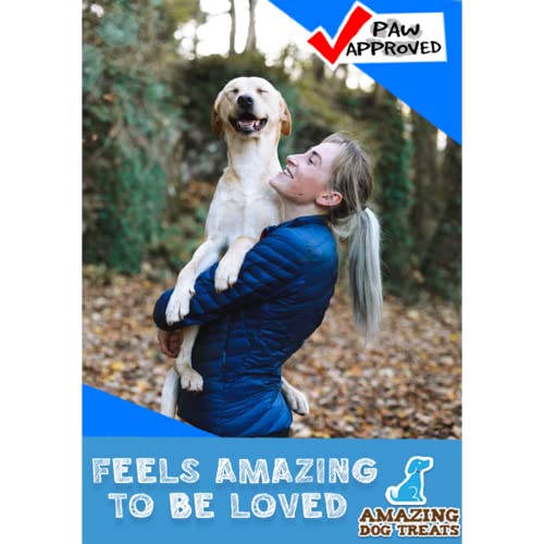 4" Mega Thick Beef Cheek Rolls (6 Count) - Safe Rawhide Alternative Dog Chew Amazing Dog Treats