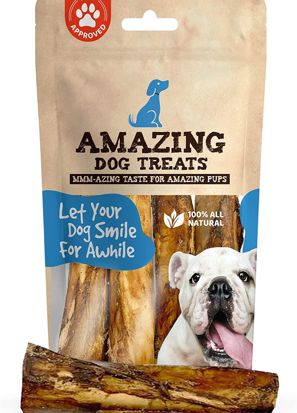 natural balance dog food small breed Natural Balance Pet Foods Limited Ingredient Diet Plant Powered Vegeta