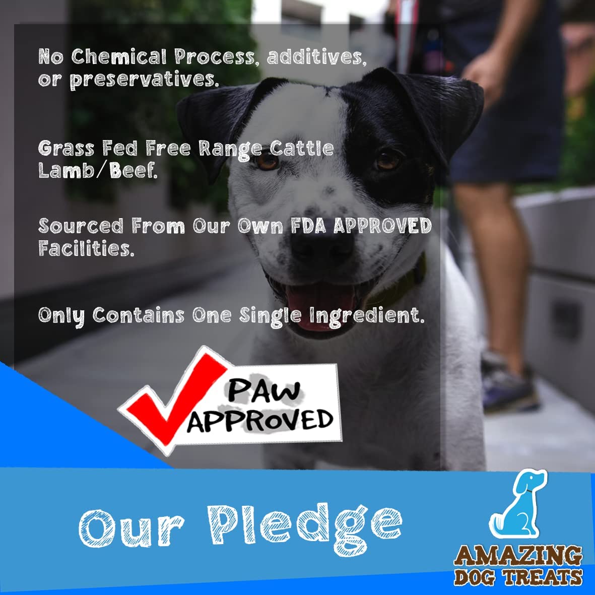 5-6" Meaty Beef Marrow Bones (2 Count) - Best Bones for Dogs Amazing Dog Treats