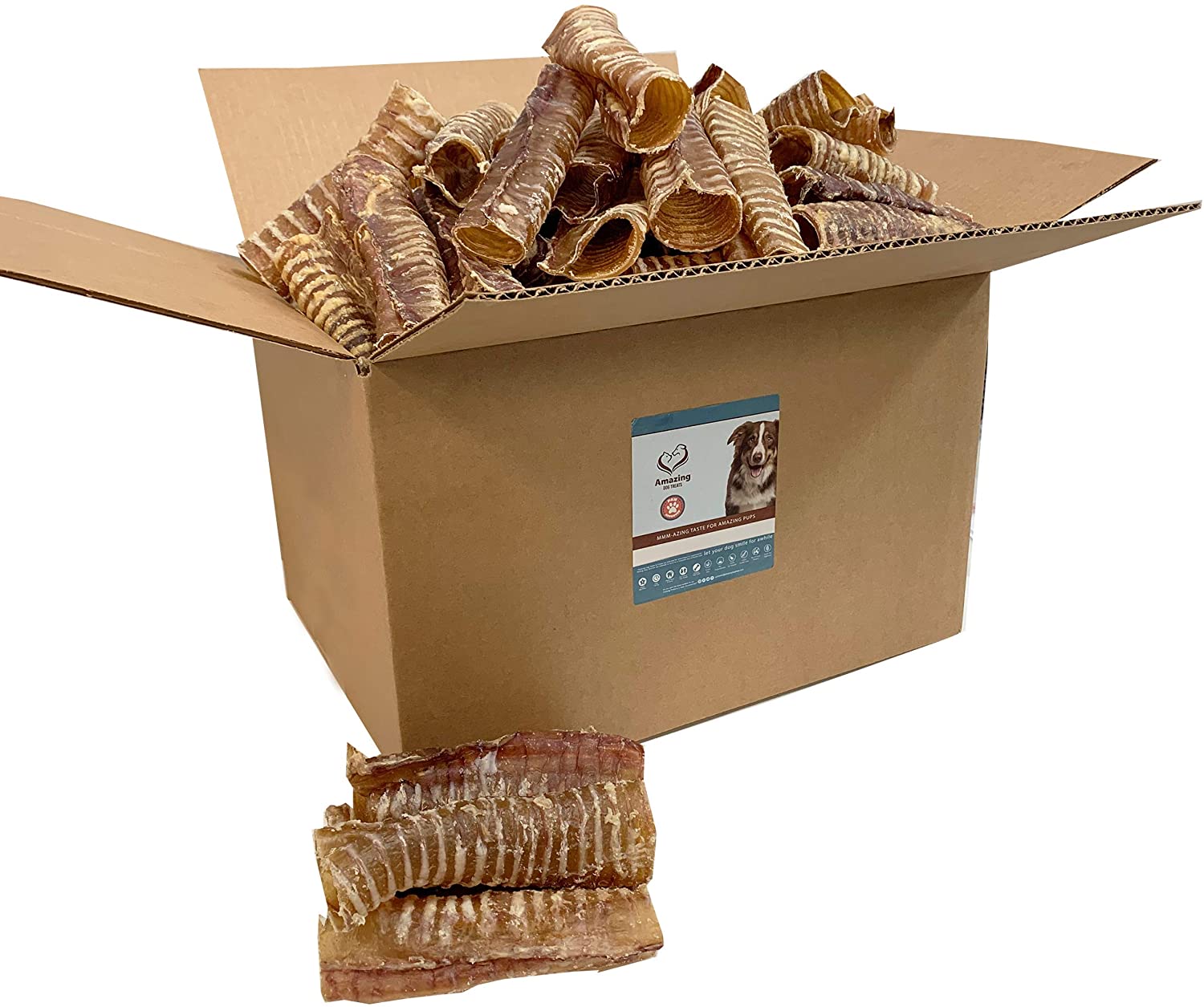 6" Beef Trachea Chews Amazing Dog Treats