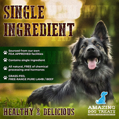 12"  Beef Trachea Chews Amazing Dog Treats